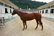 �̽������� (MR. JILJU) ����