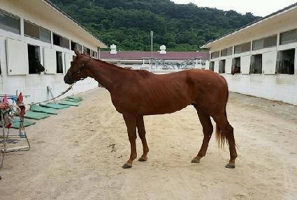 �̽������� ����