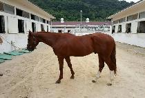 ����Ʈ���� (SMART JILJU) ����