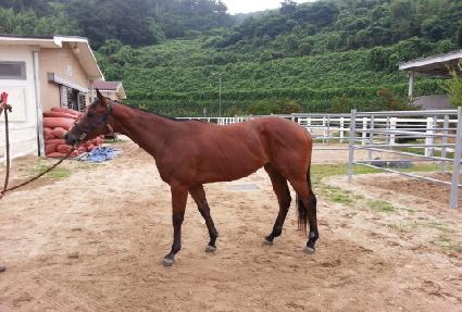 ���κ��켱 ����