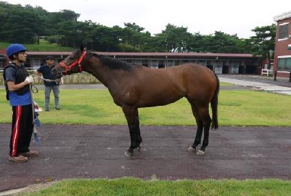 �������̾� ����