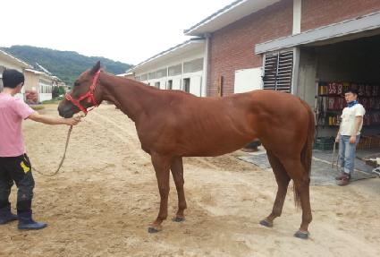 ������� ����