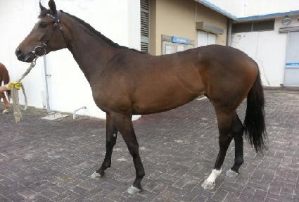 ������ķ ����