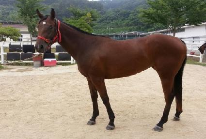 �������� ����