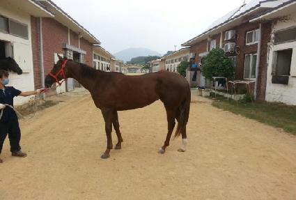 �±ǳ��� ����