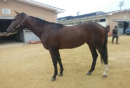 ��ƮƼ�� ����