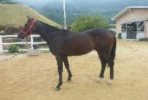 ȯ�� (HWANHUI) ����