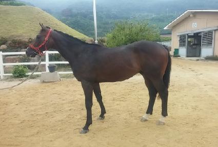 ȯ�� ����