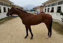 �������� (MYEONGUN JILJU) ����