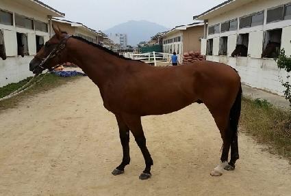 �������� ����