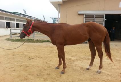 ��ũ��Ʈ ����