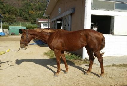 �������� ����