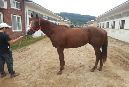 �������� ����