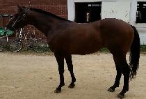 Ƽ������� (TIZTHEWAY) ����