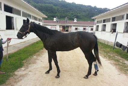 ���̵�������ī ����