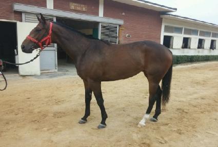 ��н� ����