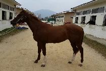 ����Ǯ������ (WONDERFUL TODAY) ����