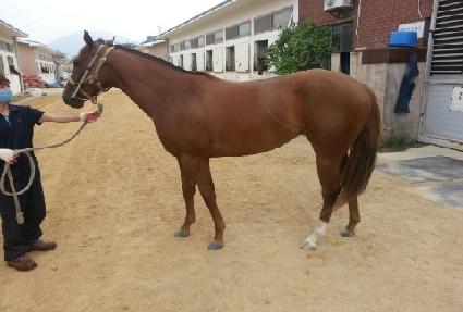 �ʵ彺Ŀ�� ����