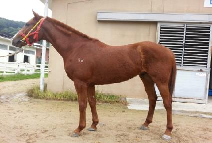 �⸳�ڼ� ����