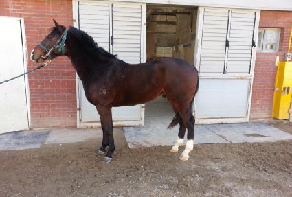 ǻ������� ����