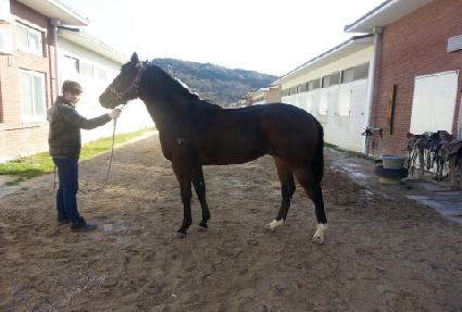 ���� ����