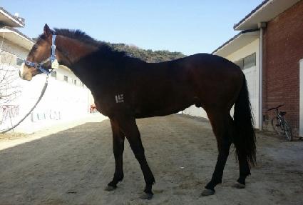 ����ŷ ����