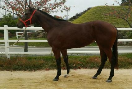 �̸����� ����