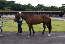 �Ƹ�������Ʈ (ARGO BEST) ����