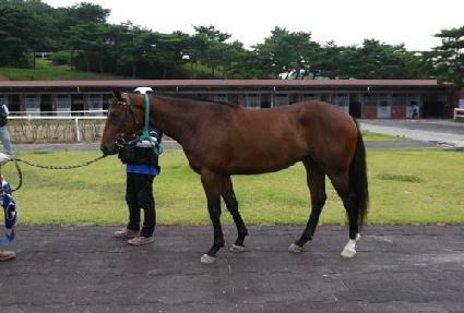 �Ƹ�������Ʈ ����