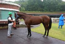 Ȳ�ݼ��� (HWANGGEUM SESANG) ����