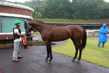 Ȳ�ݼ��� ����