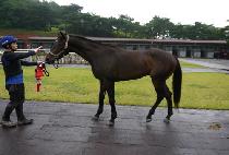 �̽������� (Mr. Pyeongchon) ����