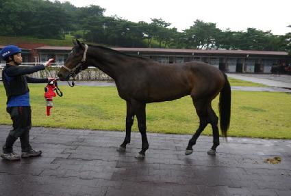 �̽������� ����