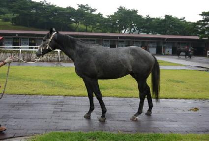 ��Ŭ�������� ����