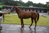 ���̽��ر� (Nice And Good) ����