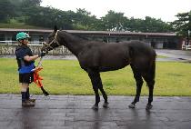 Ŭ��¡ (KLOZING) ����