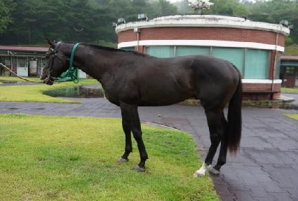 ��ī������� ����