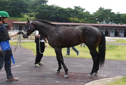 ������ ����