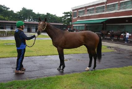 ���̼����ĵ��� ����