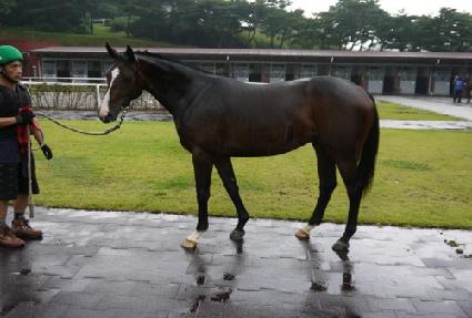 ��ũ����Ʈ ����