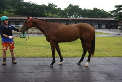 �޻��� ����