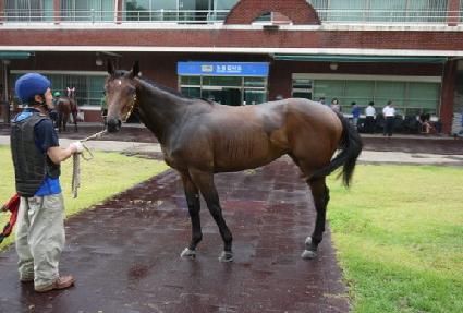 ������ ����