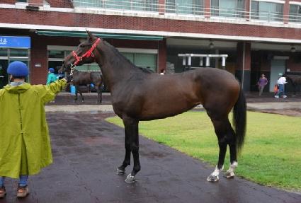 �������� ����