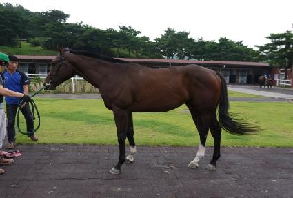 ������ ����