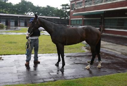 ����¾� ����