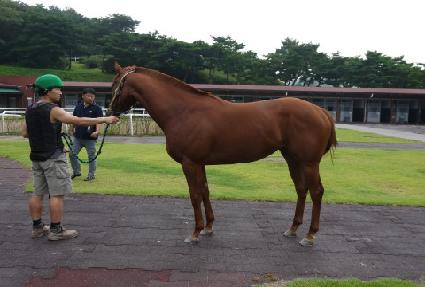 �ұ��ǽ�ȭ ����