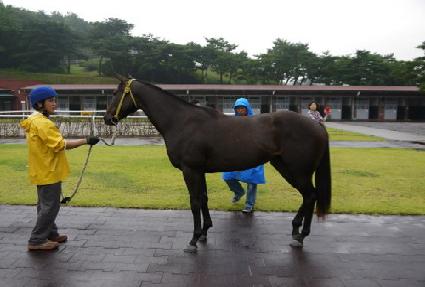 ���� ����