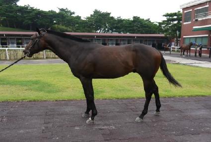 �Ⱦ���̾� ����