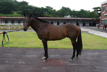 �Ⱦ�Ÿ�̰� ����