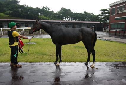 �������� ����